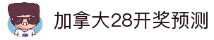 加拿大28开奖预测_实时开奖结果查询_精准28预测计划_全天走势图分析